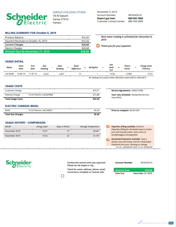 download download Yemen Schneider Electric utility bill template in Word and PDF format PDF template PDF template
